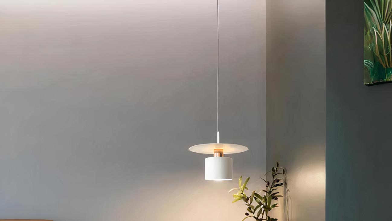 IMG_08_2024_petite_suspension_moderne_style_scandinave_01-image-3.jpg