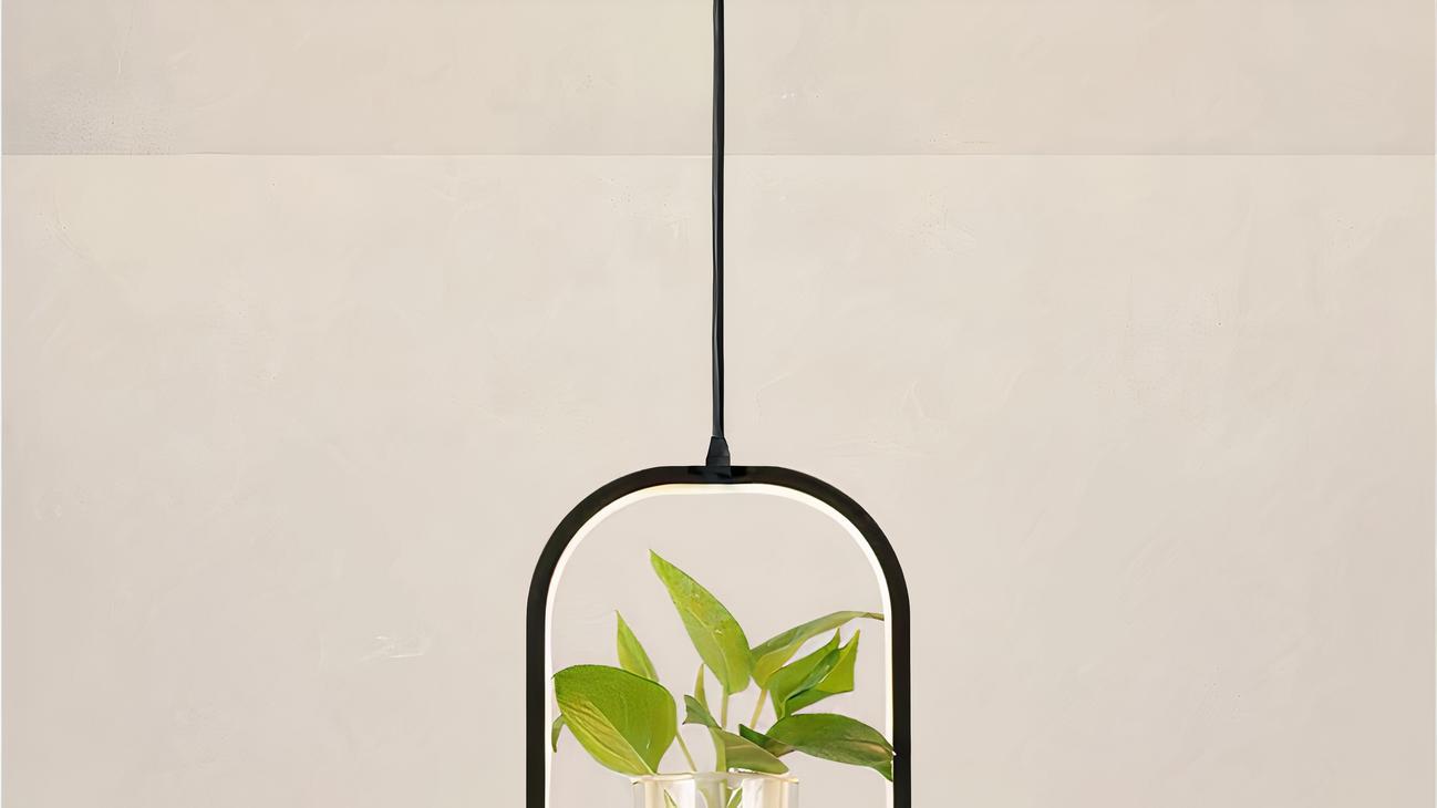 IMG_08_2024_suspension_plante_chic_elegante_1-image-3.jpg