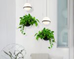 Suspension plante créative et élégante dans un intérieur