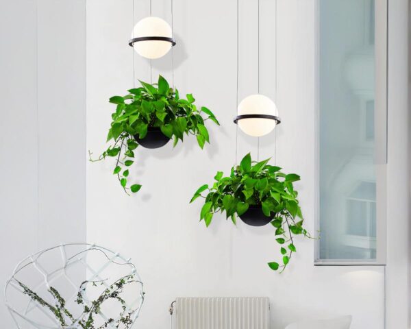 Suspension plante créative et élégante dans un intérieur