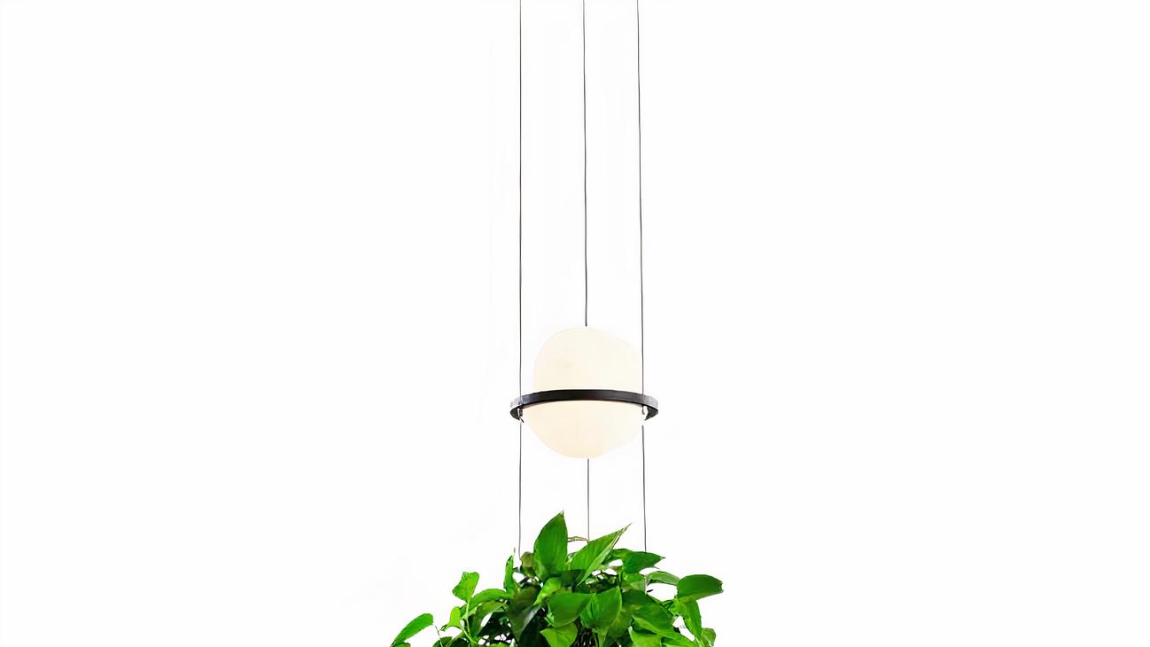 IMG_08_2024_suspension_plante_creative_elegante_2-image-3.jpg