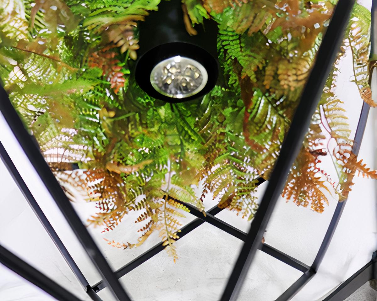 Suspension plante moderne et décorative