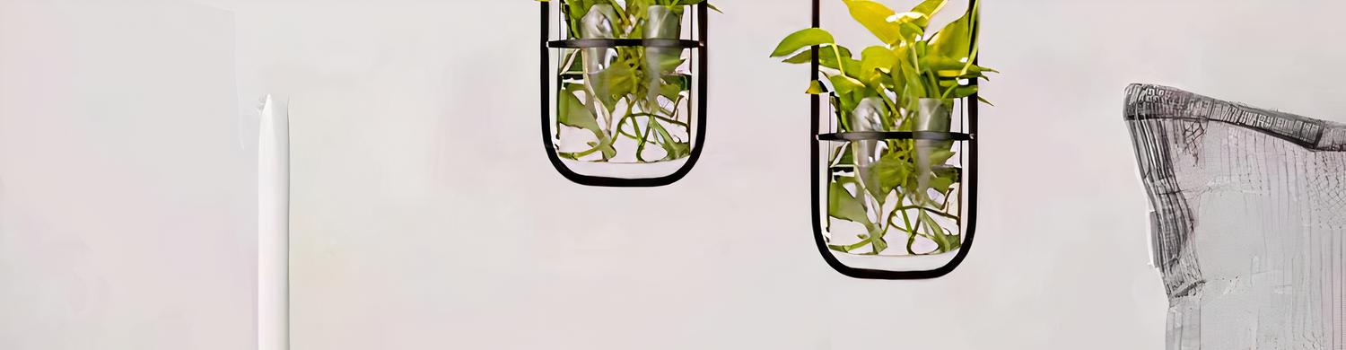 IMG_08_2024_suspension_plante_moderne_polyvalente_2-image-2.jpg