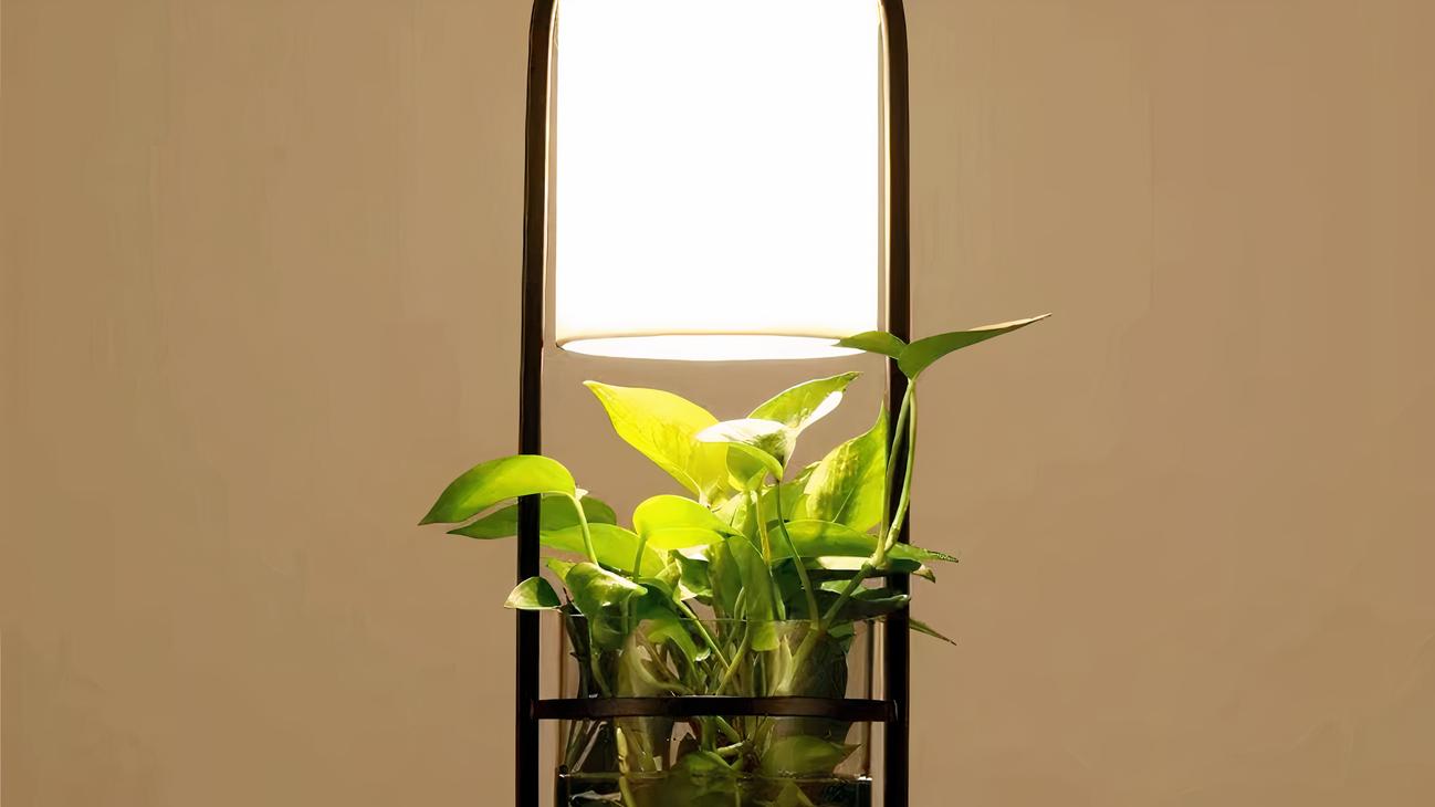 IMG_08_2024_suspension_plante_moderne_polyvalente_4-image-3.jpg