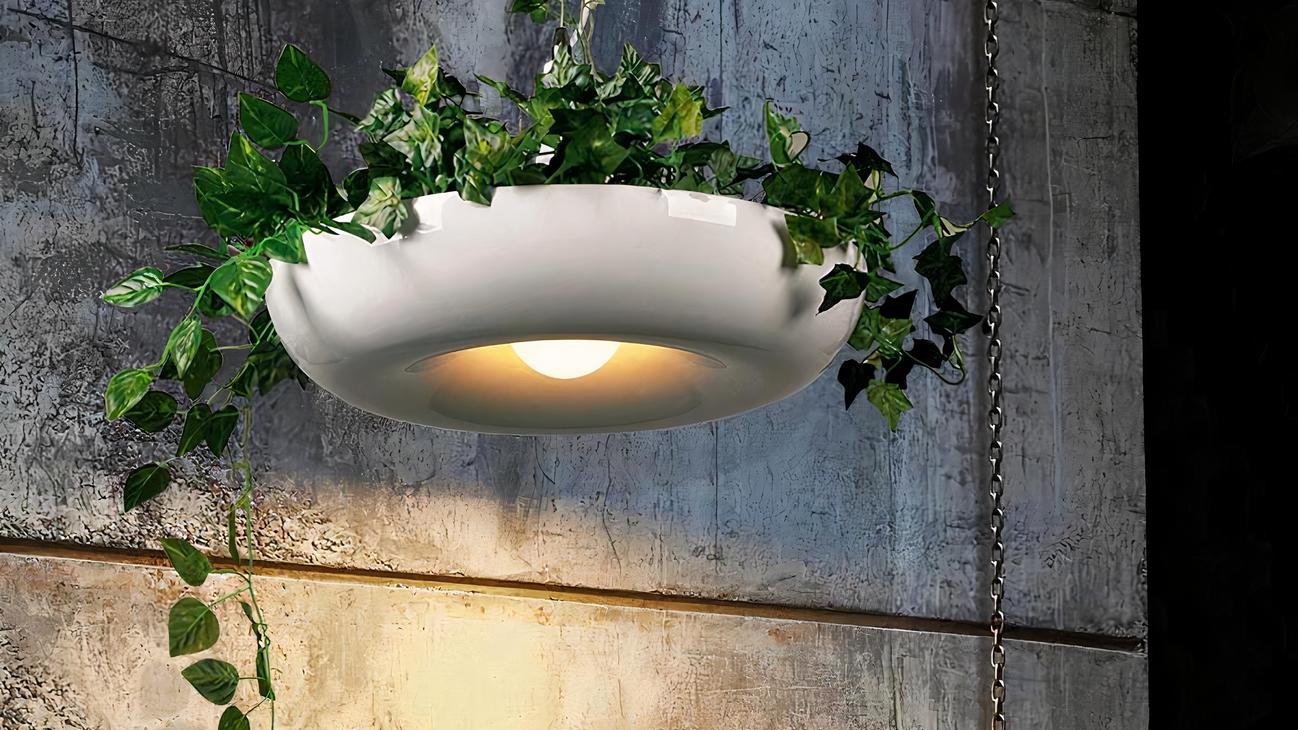 IMG_08_2024_suspension_plante_pratique_decorative_design_moderne_2-image-1.jpg