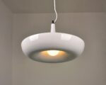 Suspension plante pratique et décorative au design moderne