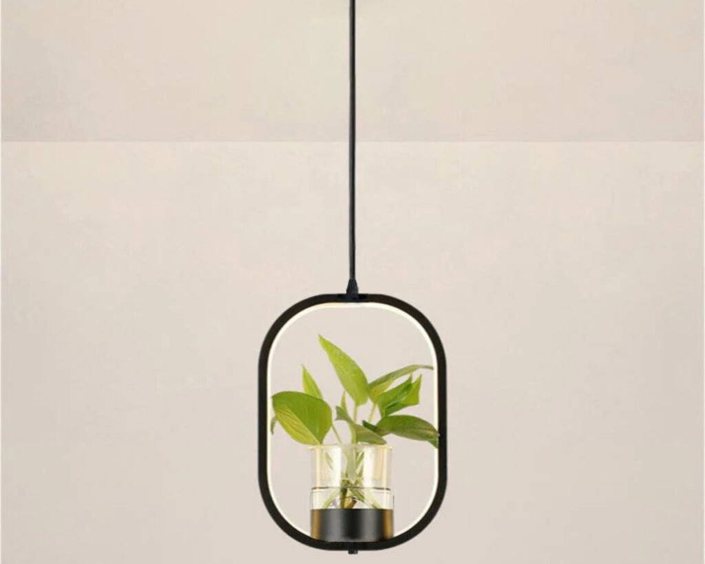 Suspension plante chic et élégante noire sur fond gris