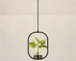 Suspension plante chic et élégante noire sur fond gris