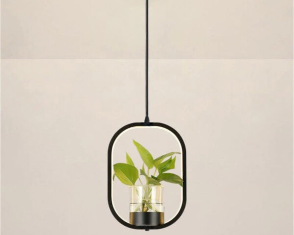 Suspension plante chic et élégante noire sur fond gris
