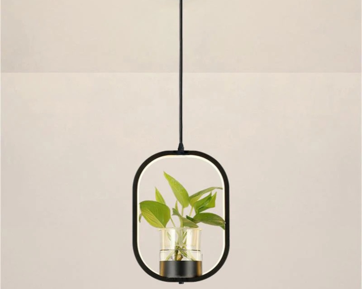 Suspension plante chic et élégante noire sur fond gris
