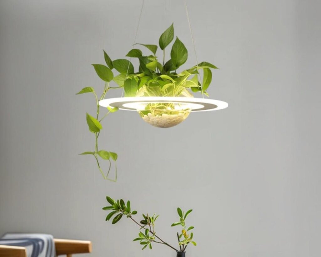 Suspension plante circulaire et nordique sur fond gris