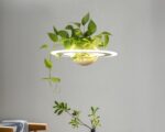 Suspension plante circulaire et nordique sur fond gris