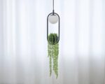 Suspension plante au design nordique sur fond de rideaux
