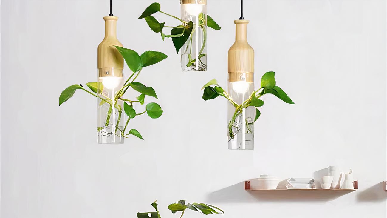 IMG_09_2024_suspension_plante_moderne_verre_01-image-3.jpg