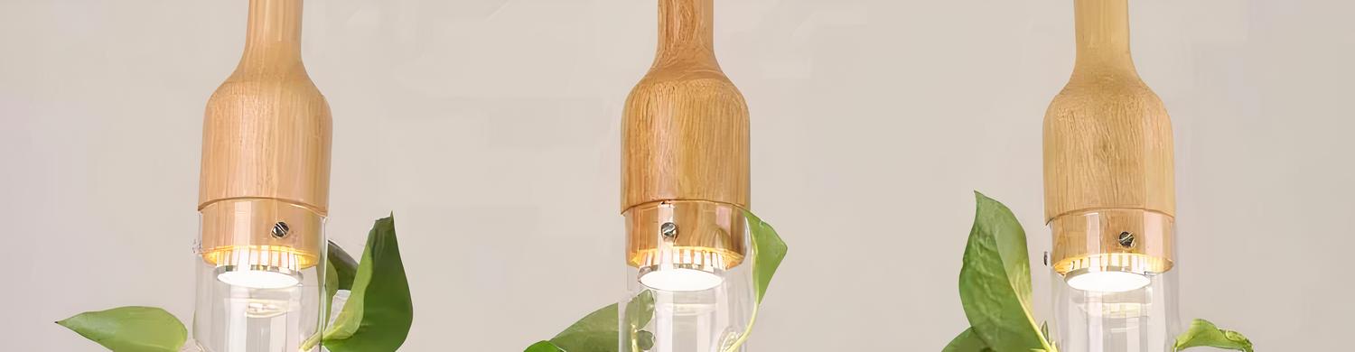IMG_09_2024_suspension_plante_moderne_verre_02-image-2.jpg