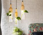 3 Suspensions plante modernes en verre suspendues dans une pièce