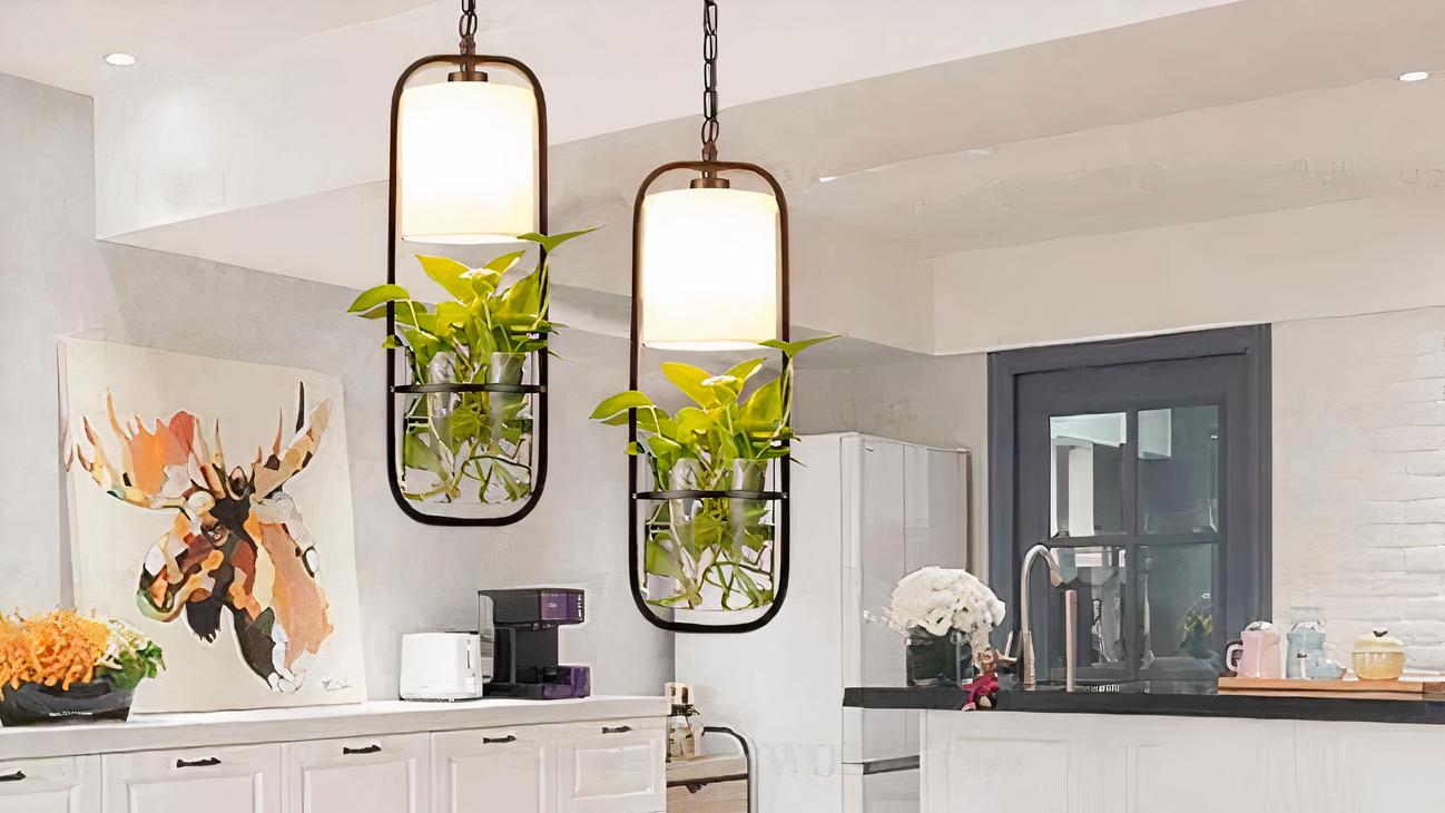 IMG_09_2024_suspension_plante_style_moderne_03-image-3.jpg